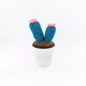 Twin Cactus Crochet Pincushion Decor