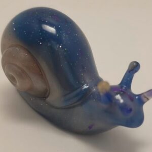 Starry Shell Snail