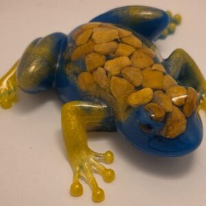 Pebble-Back Pond Frog