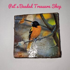Orange Songbird Refrigerator Magnet