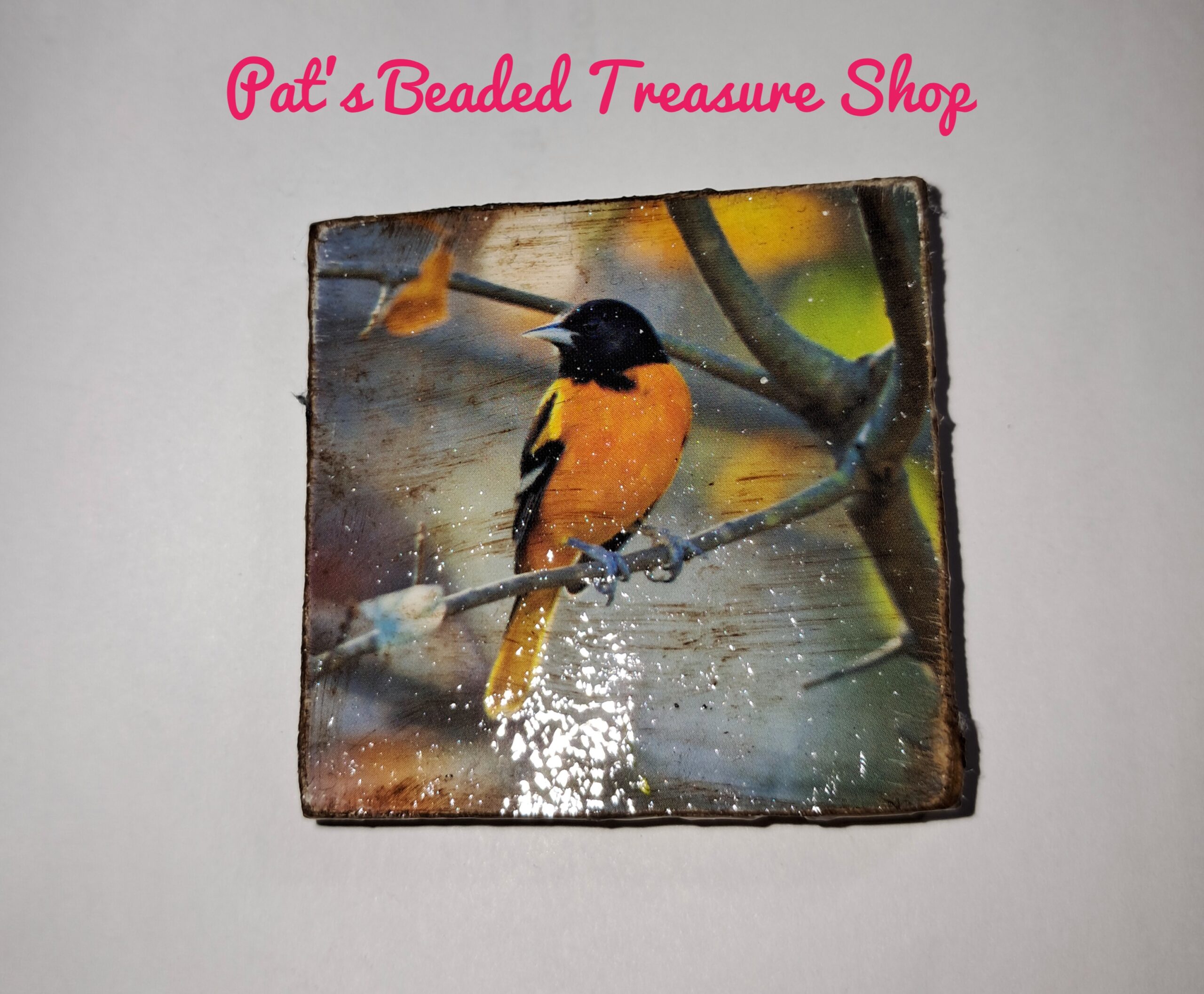 Orange songbird refrigerator magnet Orange songbird refrigerator magnet