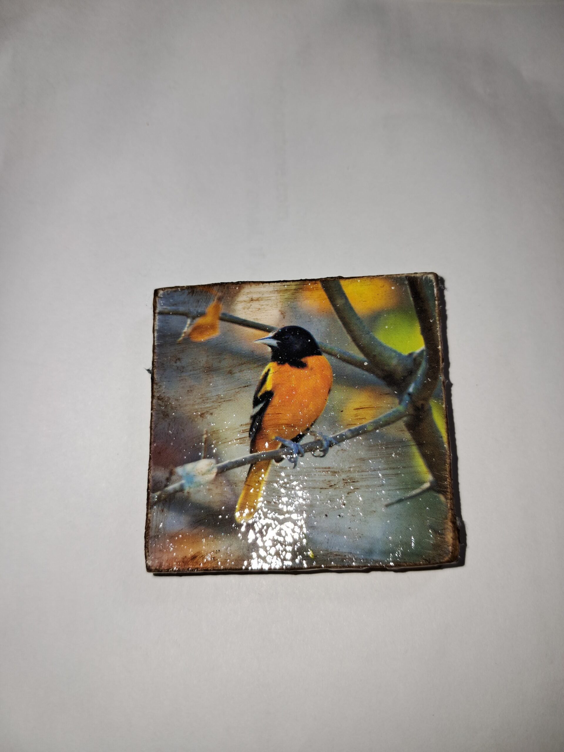 Orange songbird refrigerator magnet Orange songbird refrigerator magnet - image 2