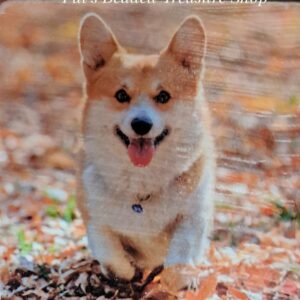 Happy Puppy Kitchen Magnet Decor
