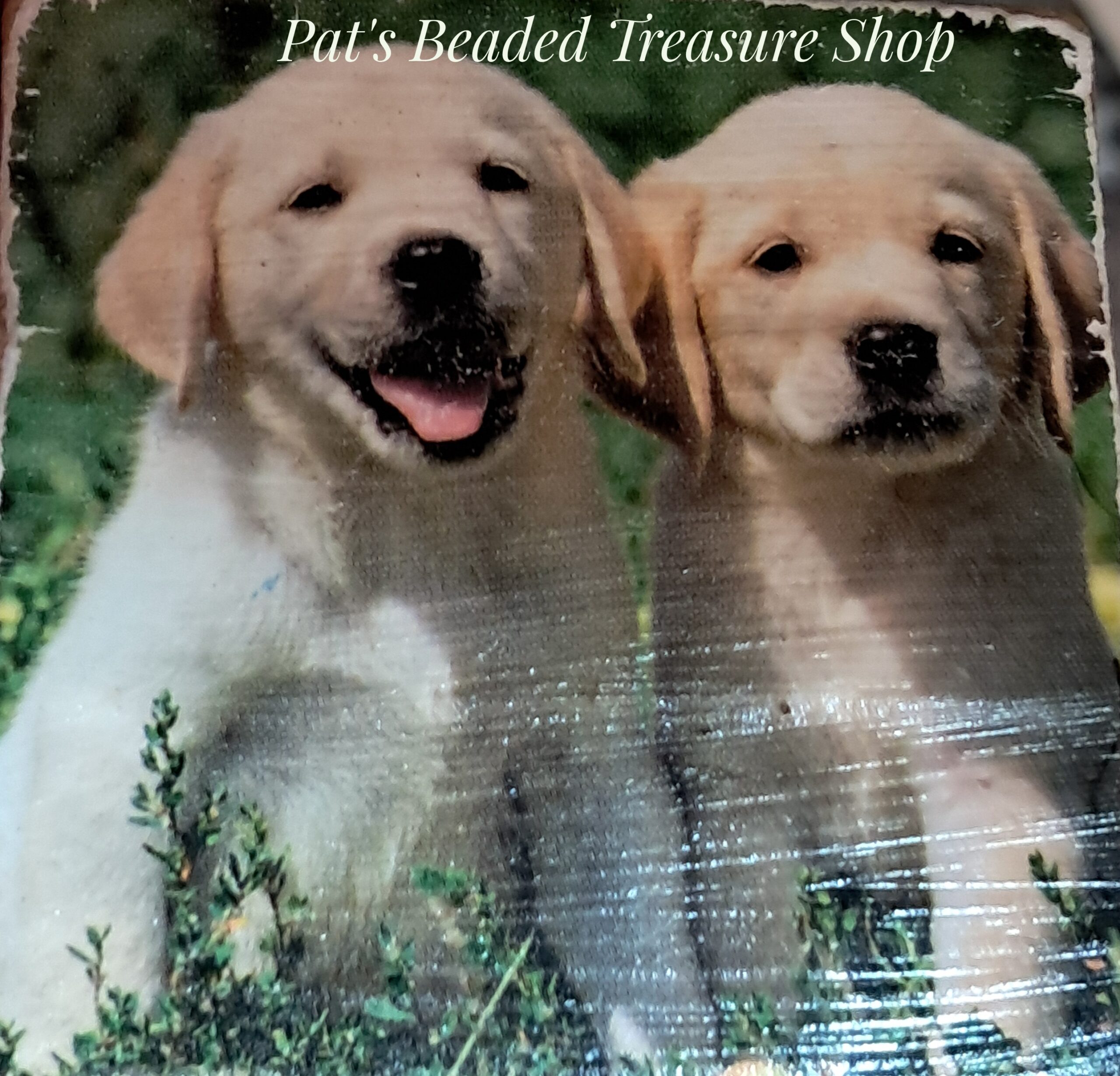 Golden retriever puppy magnet Golden retriever puppy magnet