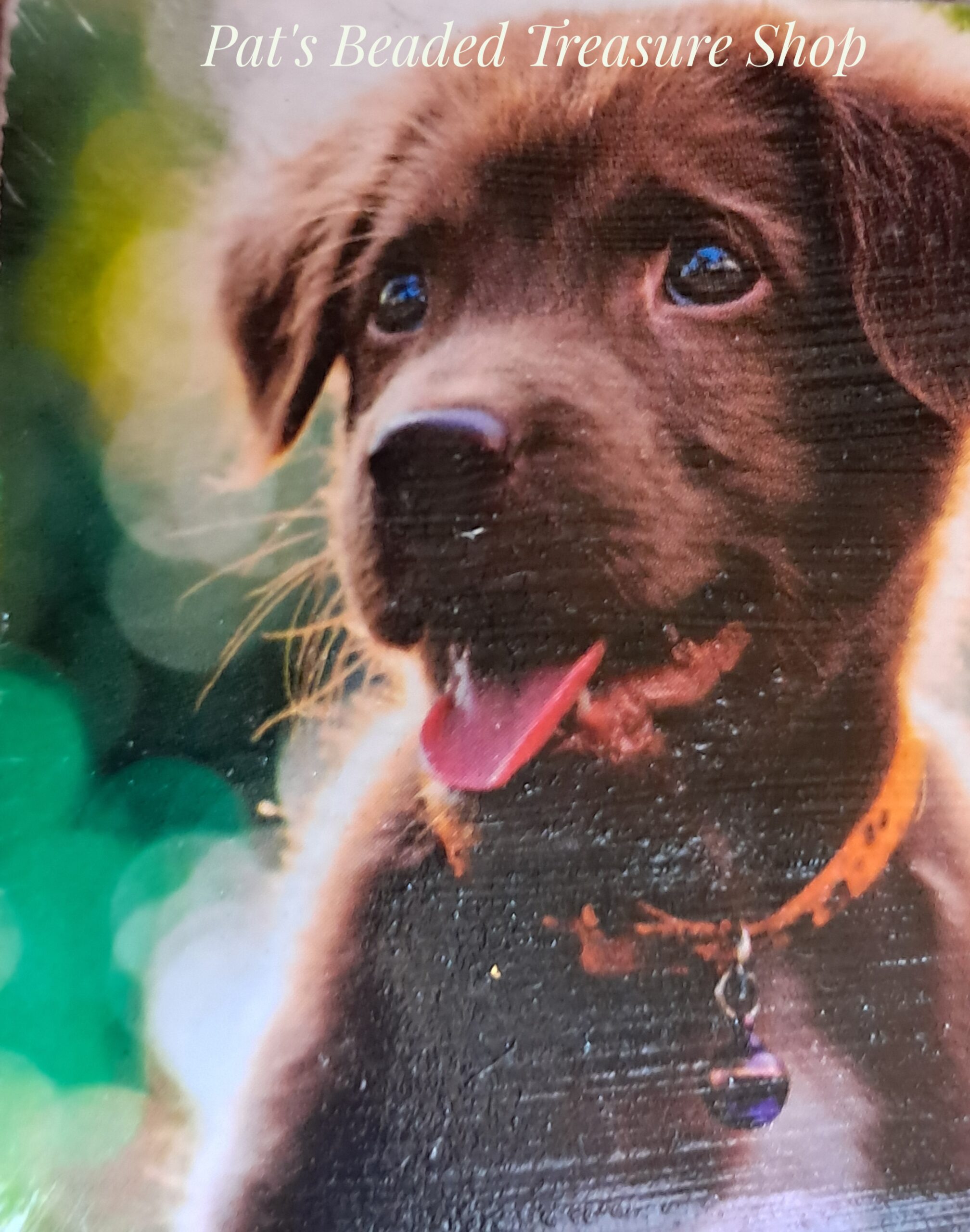 Cute brown puppy magnet Cute brown puppy magnet