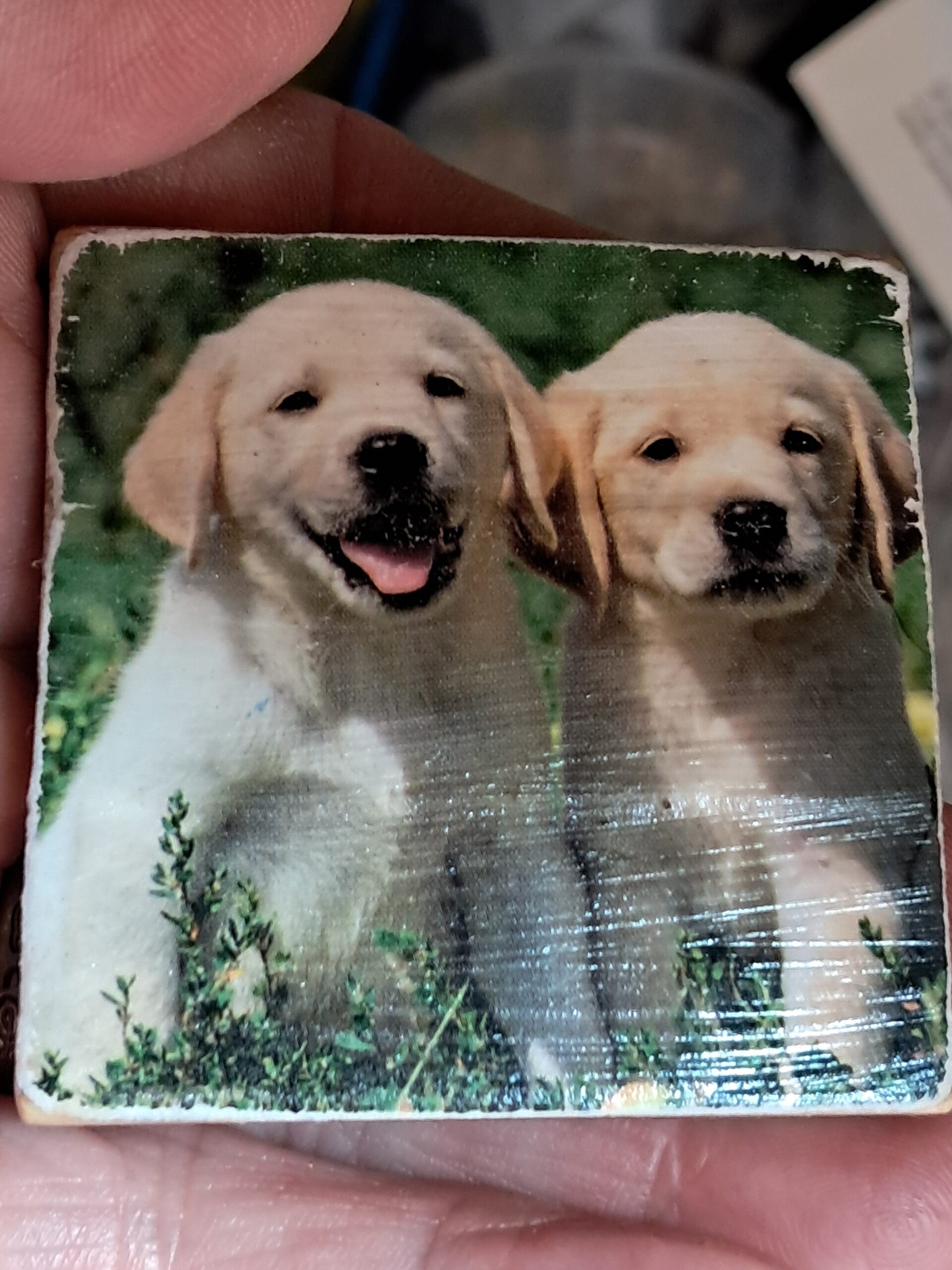 Golden retriever puppy magnet Golden retriever puppy magnet - image 2
