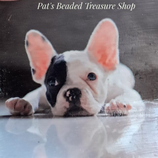 French bulldog puppy refrigerator magnet French bulldog puppy
