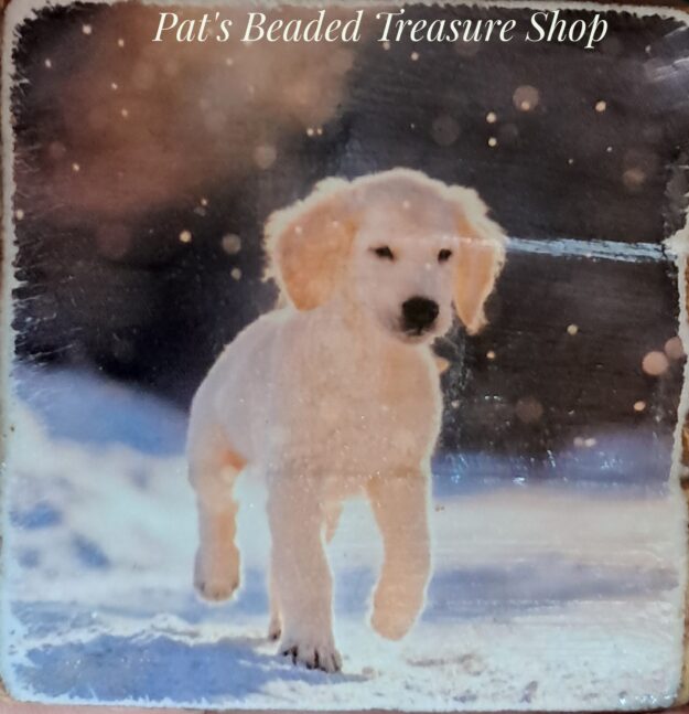 Winter puppy magnet Winter puppy magnet